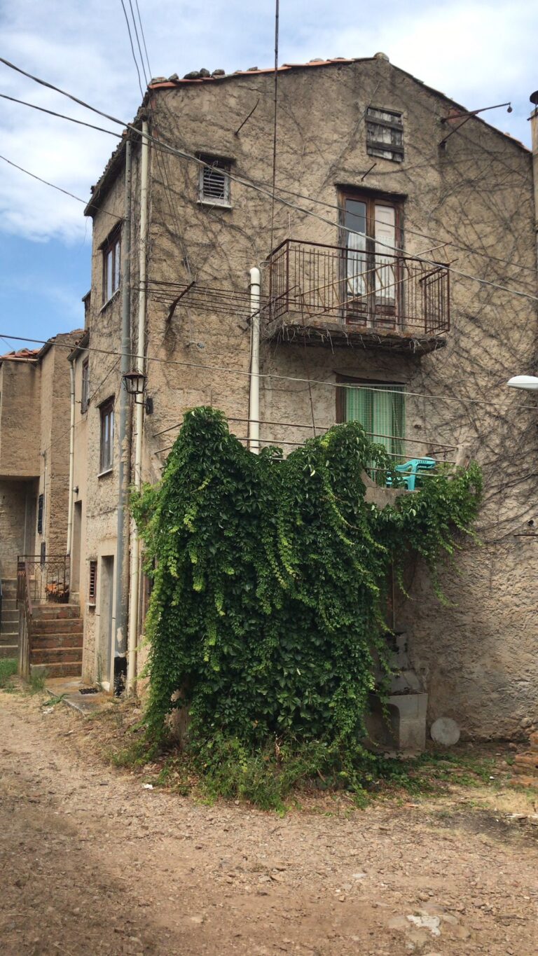 Paesaggio San Mauro Castelverde 4