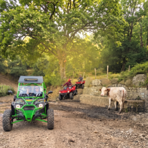 tour-al-tramonto-e-in-notturna-2-ore-quad-e-buggy